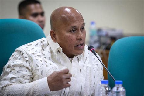 pnp pais online|Bato vows fair Senate probe on PNP raid vs. Quiboloy.